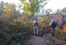El temporal derribó más de 15 árboles de gran porte en Castelli y el Municipio despliega un operativo de emergencia