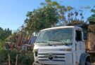 Ambiente y Servicios Públicos despliegan un masivo operativo de remoción de ramas en el barrio Güemes